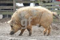 LE30_Warder10_0179.JPG