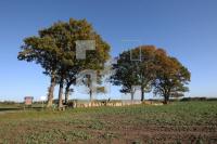 LL25_Langbett01_0113.JPG