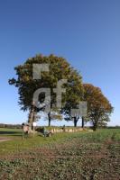 LL25_Langbett02_0117.JPG