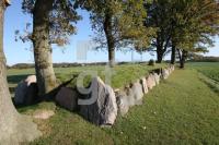 LL25_Langbett04_0119.JPG