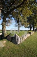 LL25_Langbett07_0125.JPG