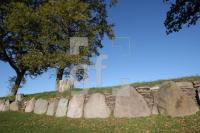 LL25_Langbett10_0141.JPG