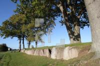LL25_Langbett11_0143.JPG
