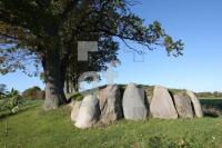 LL25_Langbett14_0147.JPG