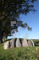 LL25_Langbett15_0149.JPG