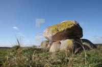 LL25_Megalith10_0116.JPG