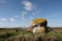 LL25_Megalith14_0127.JPG
