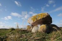 LL25_Megalith17_0137.JPG