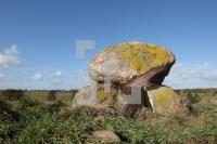 LL25_Megalith19_0172.JPG