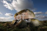 LL25_Megalith39_0191.JPG