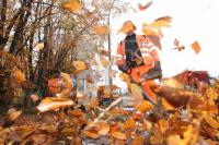 LM04_Laub_0106.JPG