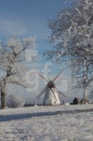 LM27_Dybboel19_0114.JPG