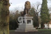 NC23_Loewe03_0109.JPG