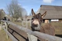 OF04_Molfsee01_0105.JPG