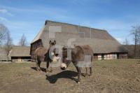 OF04_Molfsee10_0138.jpg