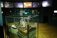 ZAF26_Fl_0168.JPG