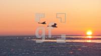 LC26_WinterX_0707.jpg